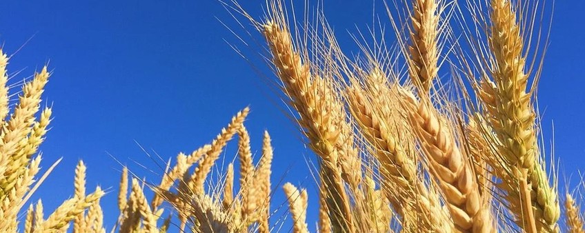 ПРОДУКЦИЯ ЭМИКС ПРЕДСТАВЛЕН НА ВЫСТАВКЕ АГРАРНОГО ПРАЗДНИКА "ДЕНЬ ПОЛЯ"