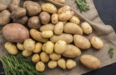 КАК ВЫРАСТИТЬ ХОРОШИЙ КРУПНЫЙ КАРТОФЕЛЬ