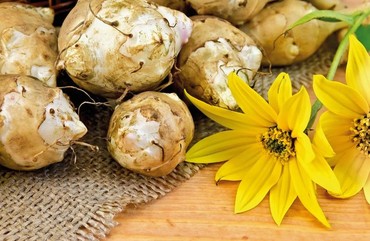 ЛЕЖИТ В ЗЕМЛЕ ГРУША – ЕЁ МОЖНО СКУШАТЬ!