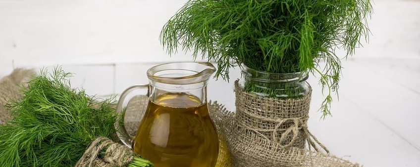 УКРОП ЗИМОЙ – ПОЛЕЗНО, ВКУСНО, РЕАЛЬНО!
