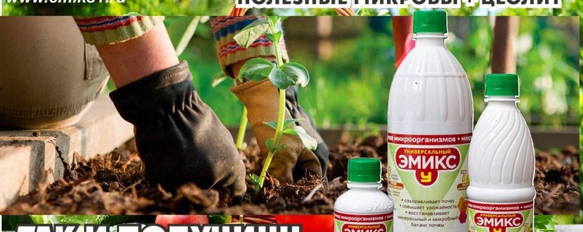 ЗАЧЕМ НУЖНА ВЕСЕННЯЯ ОБРАБОТКА ПОЧВЫ