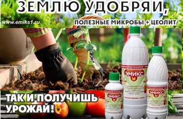 ЗАЧЕМ НУЖНА ВЕСЕННЯЯ ОБРАБОТКА ПОЧВЫ