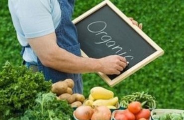 СОСТАВ И ПРЕИМУЩЕСТВА ОРГАНИЧЕСКОГО ЗЕМЛЕДЕЛИЯ С ЭМИКС-ПРЕПАРАТАМИ