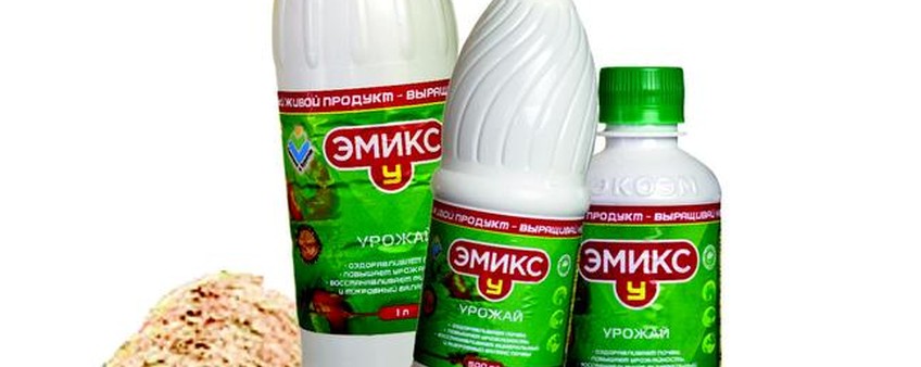 Газон – это кто?