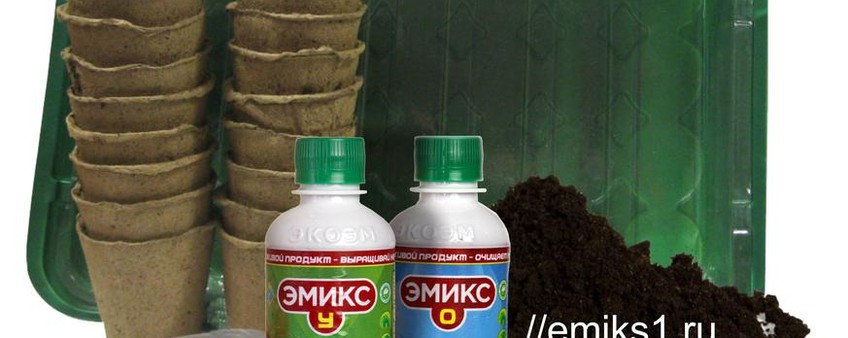 ГОТОВИМСЯ К ПОСЕВНОЙ