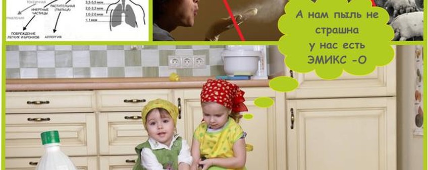 ВОЙНА С ПЫЛЬЮ