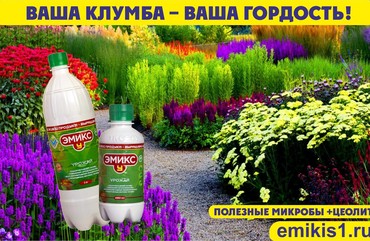 Красивая клумба – Ваша гордость! Работы в саду июнь