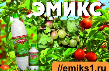 В октябре, в октябре приготовь кусты к зиме!