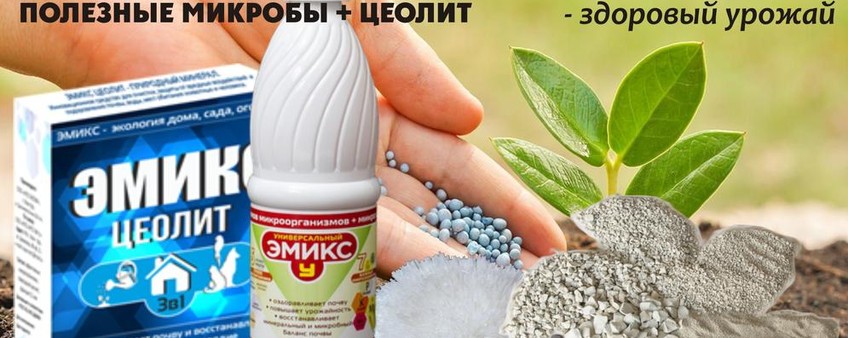Цеолиты в нашей жизни.