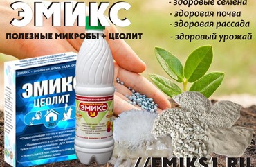 Цеолиты в нашей жизни.