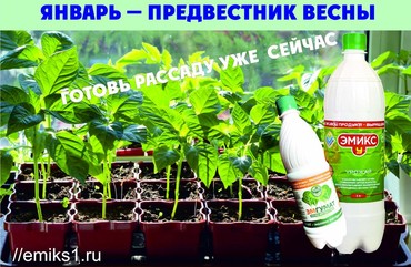 Январь — предвестник весны