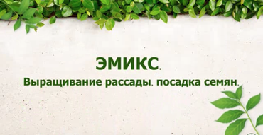Высадка семян