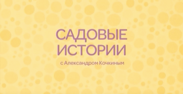 Садовые истории