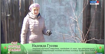 Cад. Огород. Усадьба. Выпуск №4